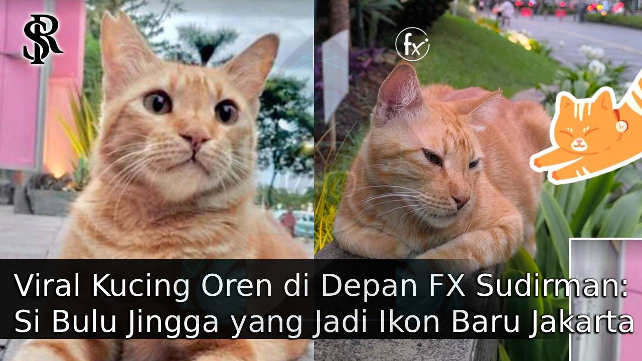 Viral Kucing Oren di Depan FX Sudirman: Si Bulu Jingga yang Jadi Ikon Baru Jakarta